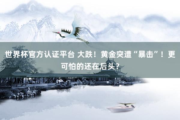 世界杯官方認證平臺 大跌！黃金突遭“暴擊”！更可怕的還在后頭？