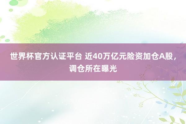 世界杯官方認證平臺 近40萬億元險資加倉A股，調倉所在曝光