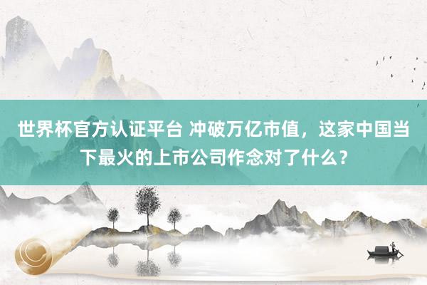 世界杯官方認證平臺 沖破萬億市值，這家中國當下最火的上市公司作念對了什么？