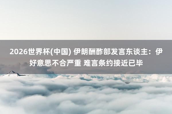 2026世界杯(中國) 伊朗酬酢部發(fā)言東談主：伊好意思不合嚴(yán)重 難言條約接近已畢