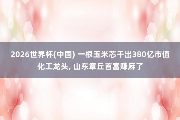 2026世界杯(中國) 一根玉米芯干出380億市值化工龍頭， 山東章丘首富賺麻了
