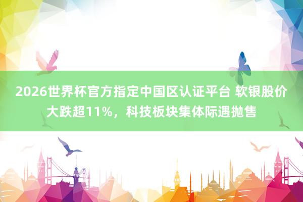 2026世界杯官方指定中國區認證平臺 軟銀股價大跌超11%，科技板塊集體際遇拋售