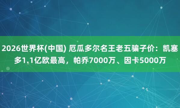 2026世界杯(中國) 厄瓜多爾名王老五騙子價(jià)：凱塞多1